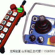 �_�������b���� F24-8S  Taiwan Yuding remote controller F24-8S