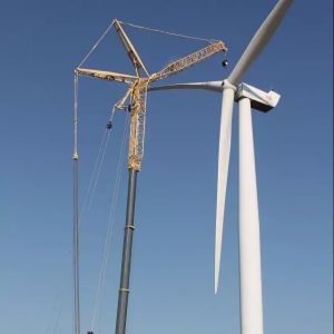 ��������������r���ؙC(j��)�а���Dufour�����˵�100�_LTM 1750-9.1