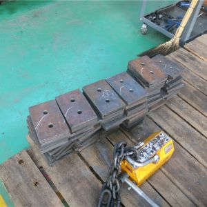 2018111102 ���������^