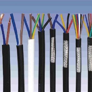 ������|����|���N��е�һ�N��ʲô�ǿ�����|��